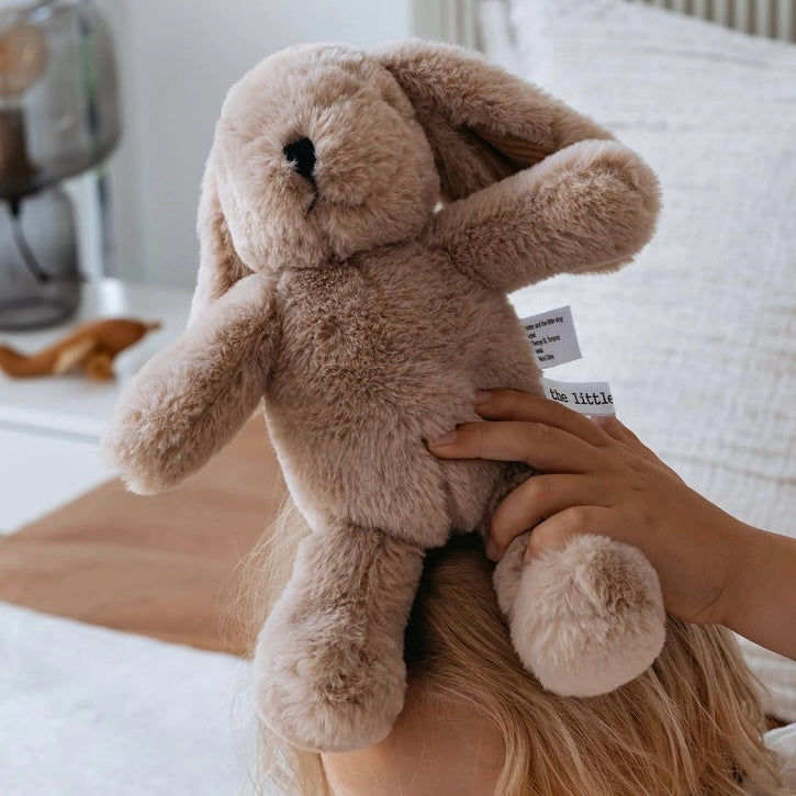 Hugh Rabbit