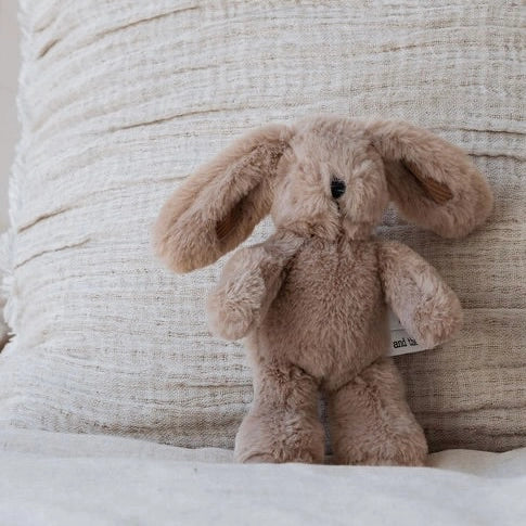 Hugh Rabbit