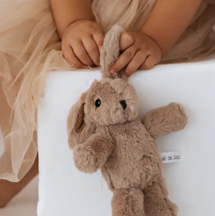 Hugh Rabbit